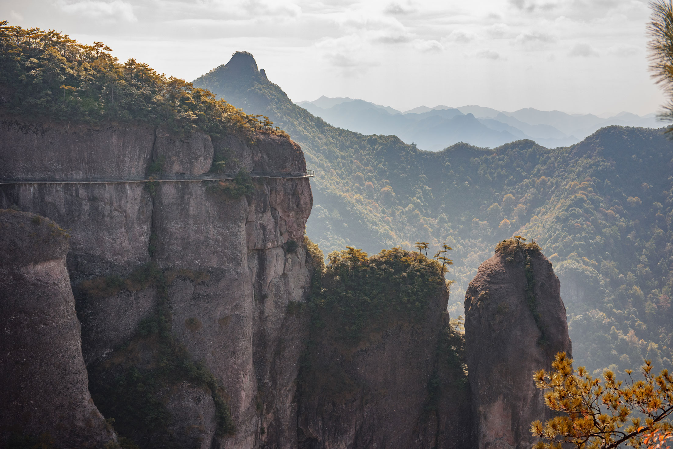 Banner image of the blog